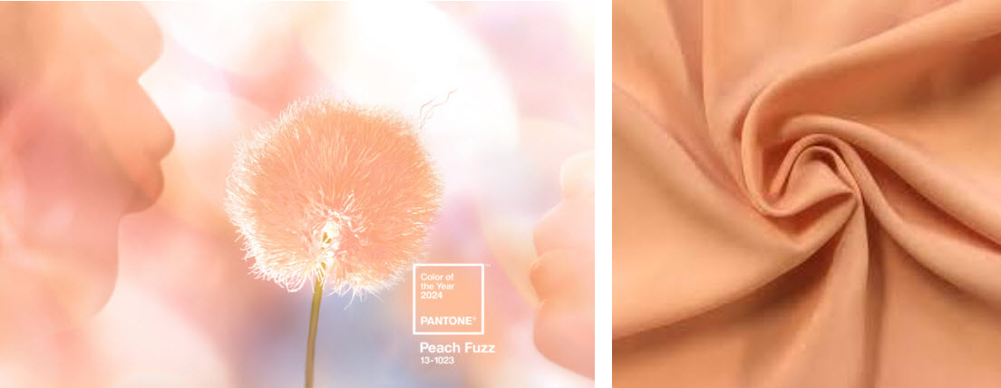 pantone color of the year peach fuzz